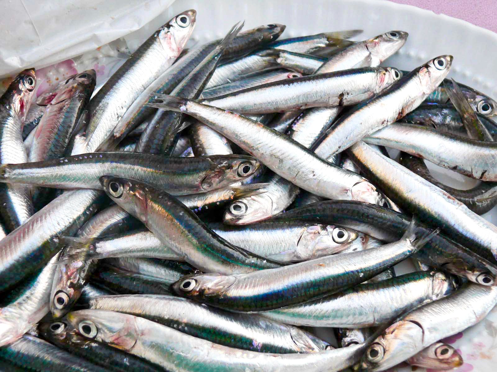 Pescado