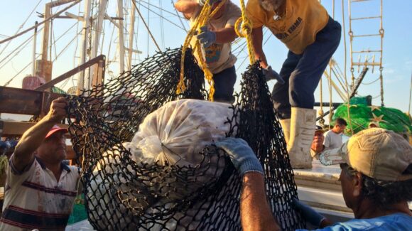 Marzo arranca con nuevas vedas y aperturas; Conapesca regula pesca en 11 estados