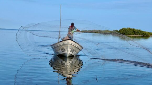 ¡A cobrar! Este 1 de abril dispersan los $8,000 del apoyo Bienpesca a pescadores de Sinaloa