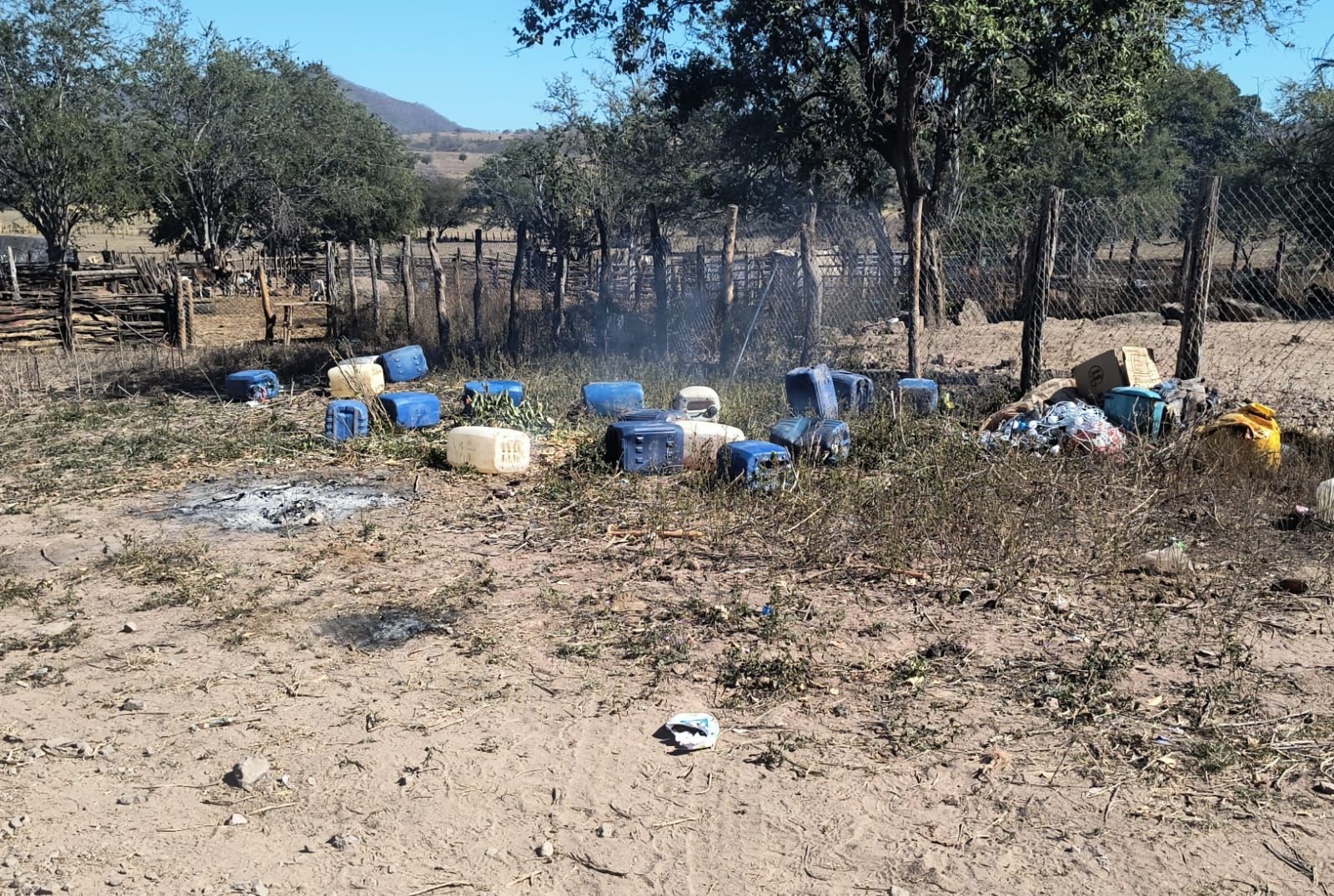 Plantío de mariguana asegurado en Sinaloa