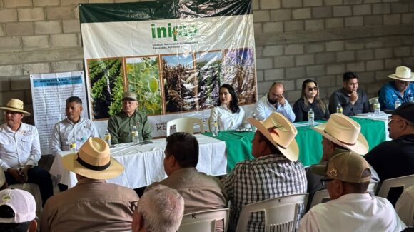 Realiza Inifap jornada de campo experimental en el Valle del Fuerte, Sinaloa; resaltan avances, pero también retos