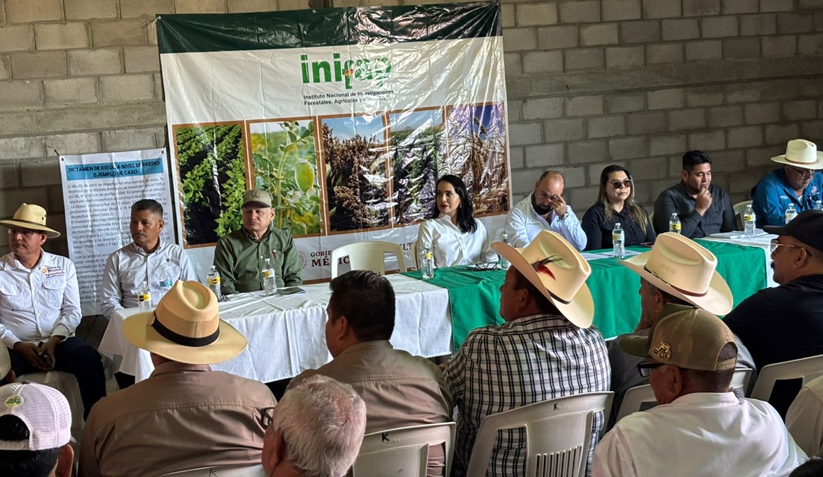Realiza Inifap jornada de campo experimental