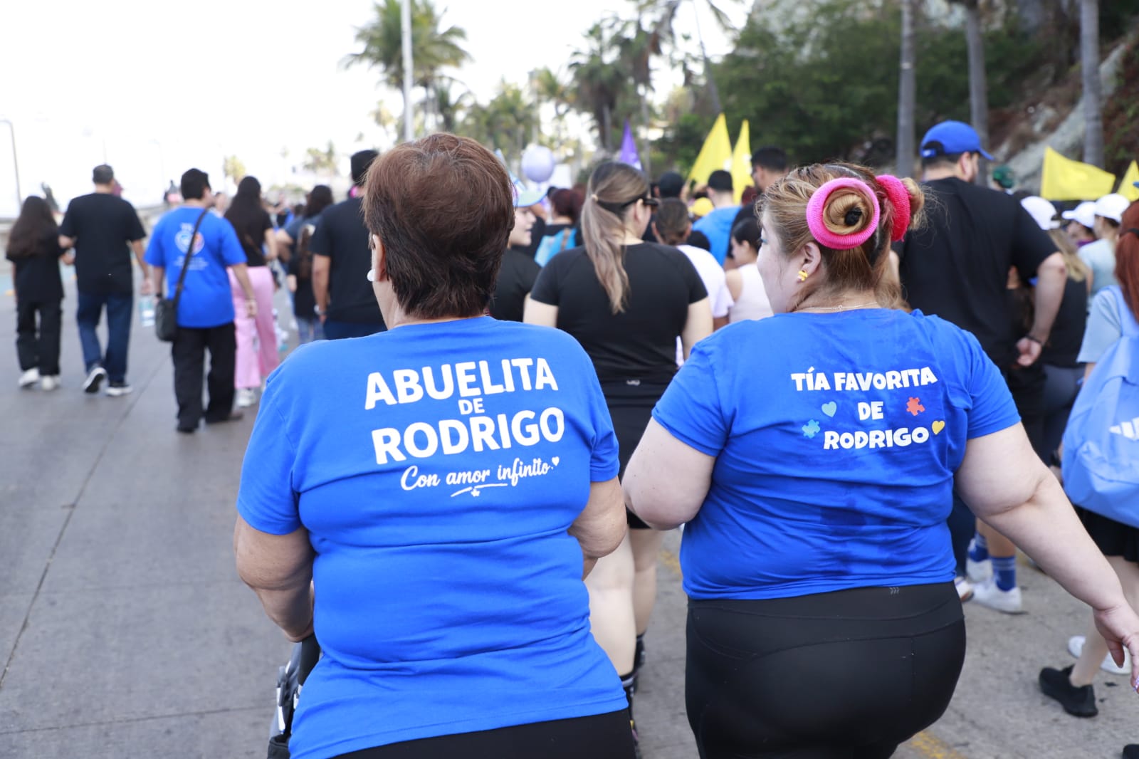 realizan con gran exito la caminata paso a paso por el autismo en mazatlan