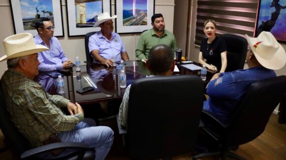Gobierno y sector ganadero de Mazatlán, Sinaloa, acuerdan apoyos para su producción