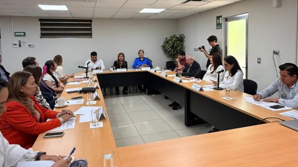 Reconocerán trayectoria en derechos humanos de Yesenia Rojo Carrizoza con la Medalla “Dra. Norma Corona Sapién”
