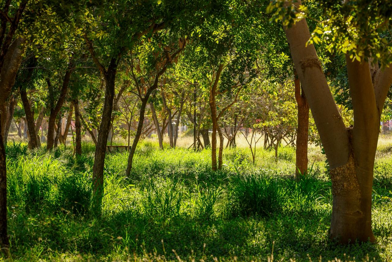Sebides se reúne con ciudadanos en el Parque Ecológico de Culiacán