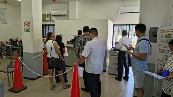 Licencia permanente registra alta demanda en Mazatlán, Sinaloa; destacan trámite ágil y rápido