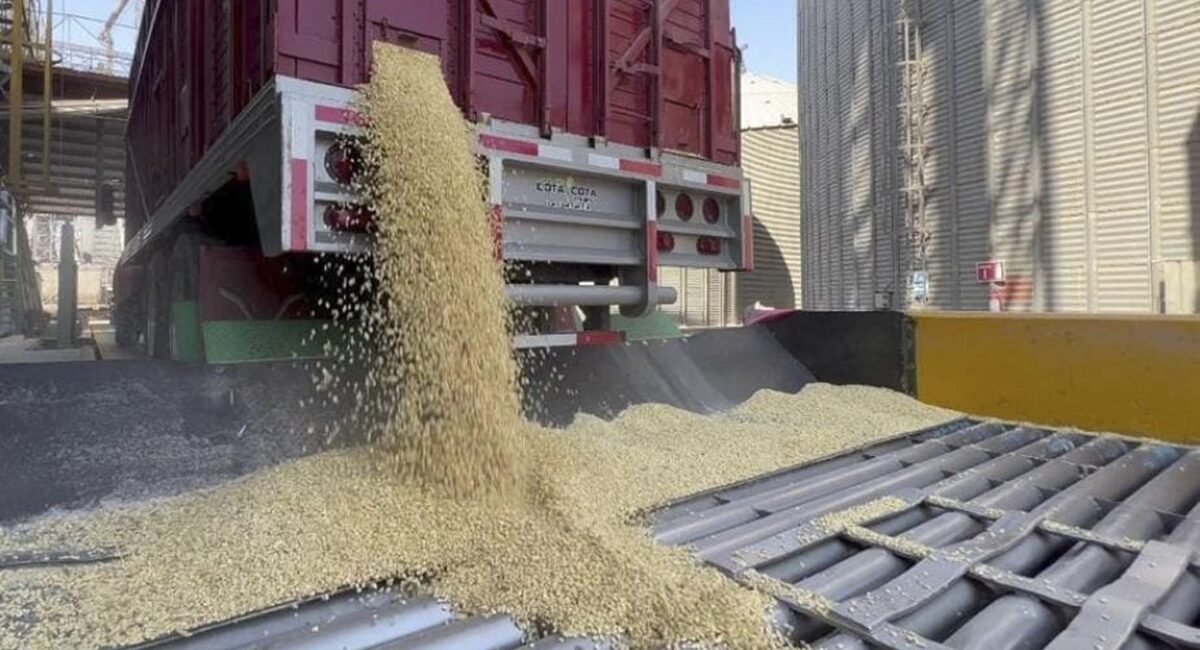 Listos los recursos para pagar a productores; garantiza legisladora Ana Ayala bolsa etiquetada para próximas cosechas