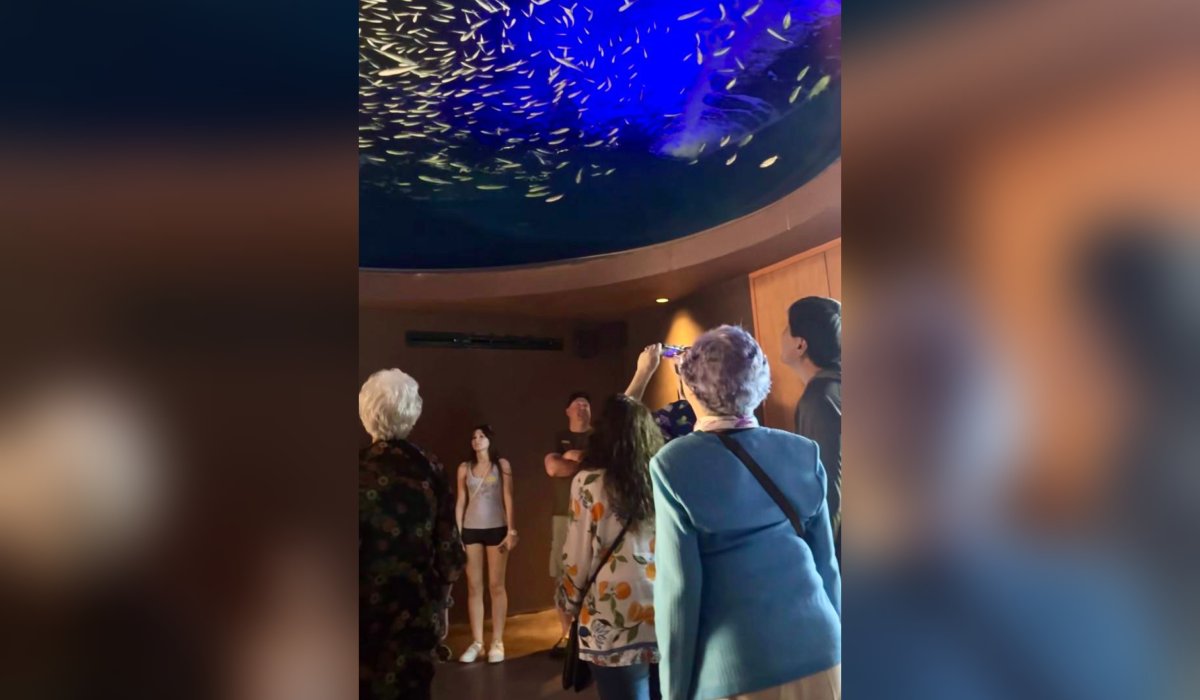 Turistas en Gran Acuario Mazatlán