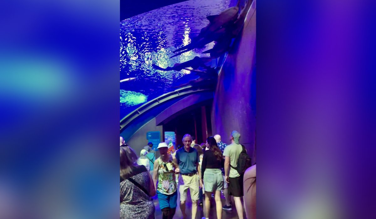 Turistas en Gran Acuario Mazatlán