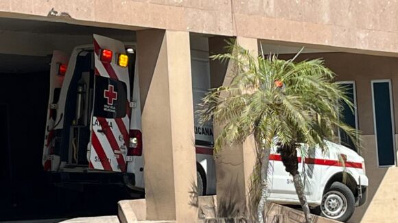 Hombre resulta lesionado tras ataque de enjambre de abejas en Guasave, Sinaloa