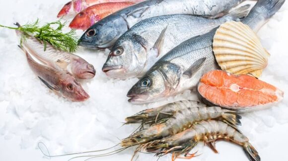 Para Cuaresma y Semana Santa 2026, Profeco presenta los precios promedio de pescados