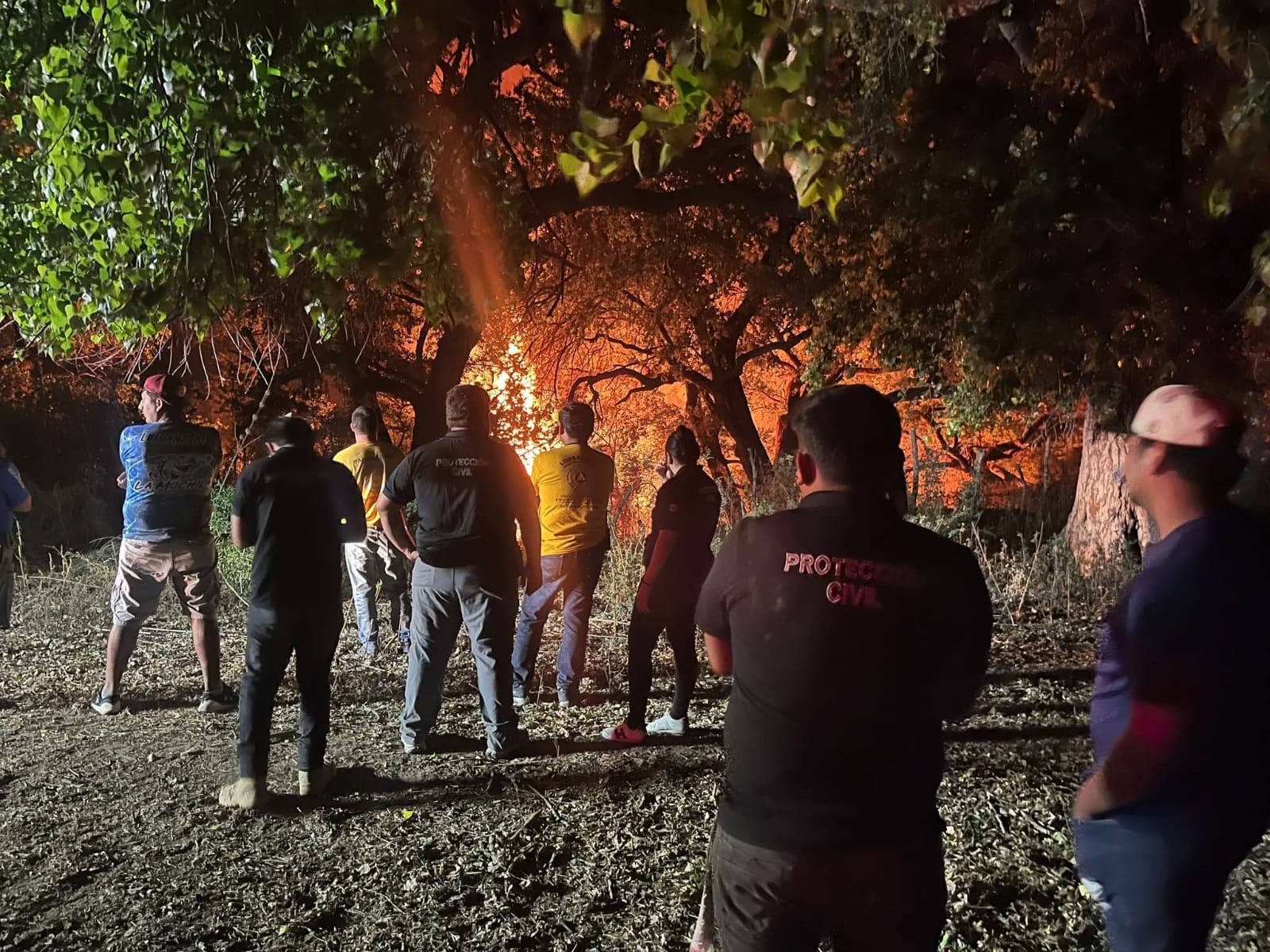 Incendio forestal en Mochicahui moviliza a los cuerpos de auxilios de municipio de El Fuerte, Sinaloa