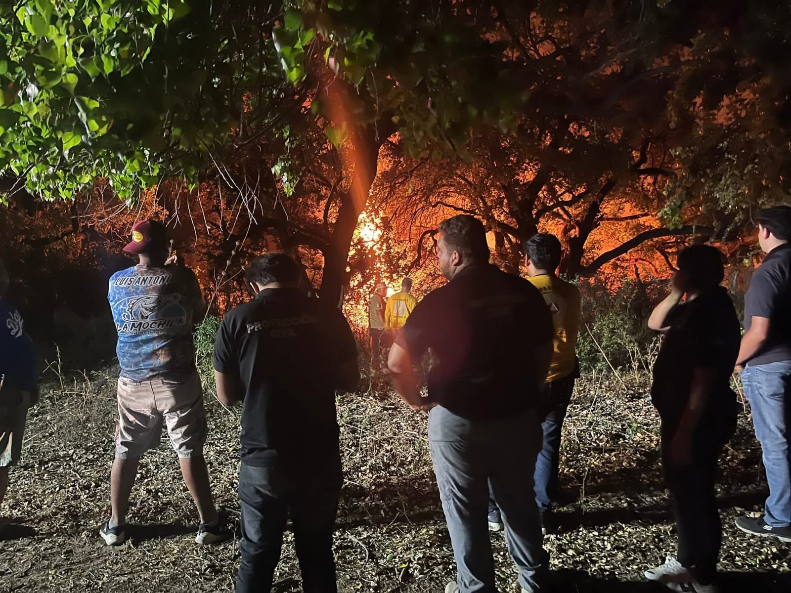 Incendio forestal en Mochicahui moviliza a los cuerpos de auxilios de municipio de El Fuerte, Sinaloa