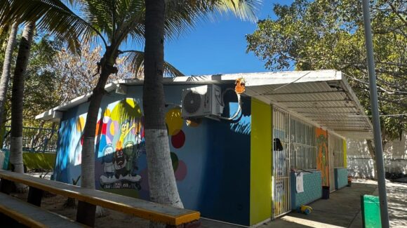 Retiran abejas de kínder en Lomas de Mazatlán tras riesgo para alumnos; buscarán reparación de muro