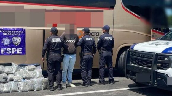 Aseguran más de 23 mil dosis de mariguana en Guanajuato; detienen a joven