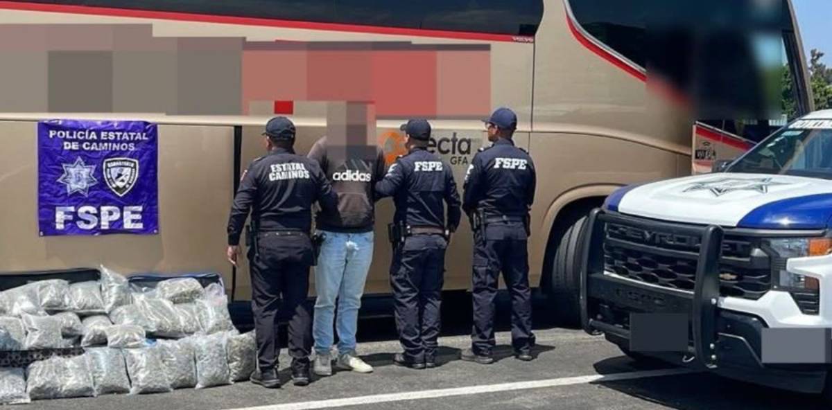 Aseguran más de 23 mil dosis de mariguana en Guanajuato; hay un detenido