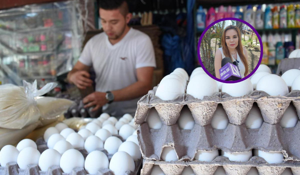 “Nunca habían estado tan caros los productos básicos”; diputada exige acciones al Gobierno para contener inflación