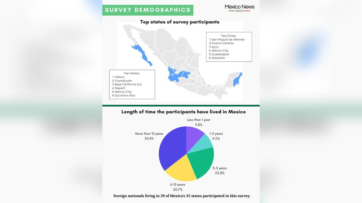 Survey-demographics
