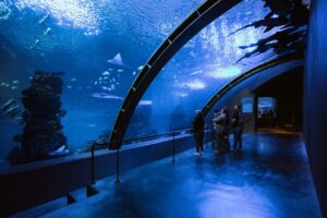 Acuario de Mazatlán