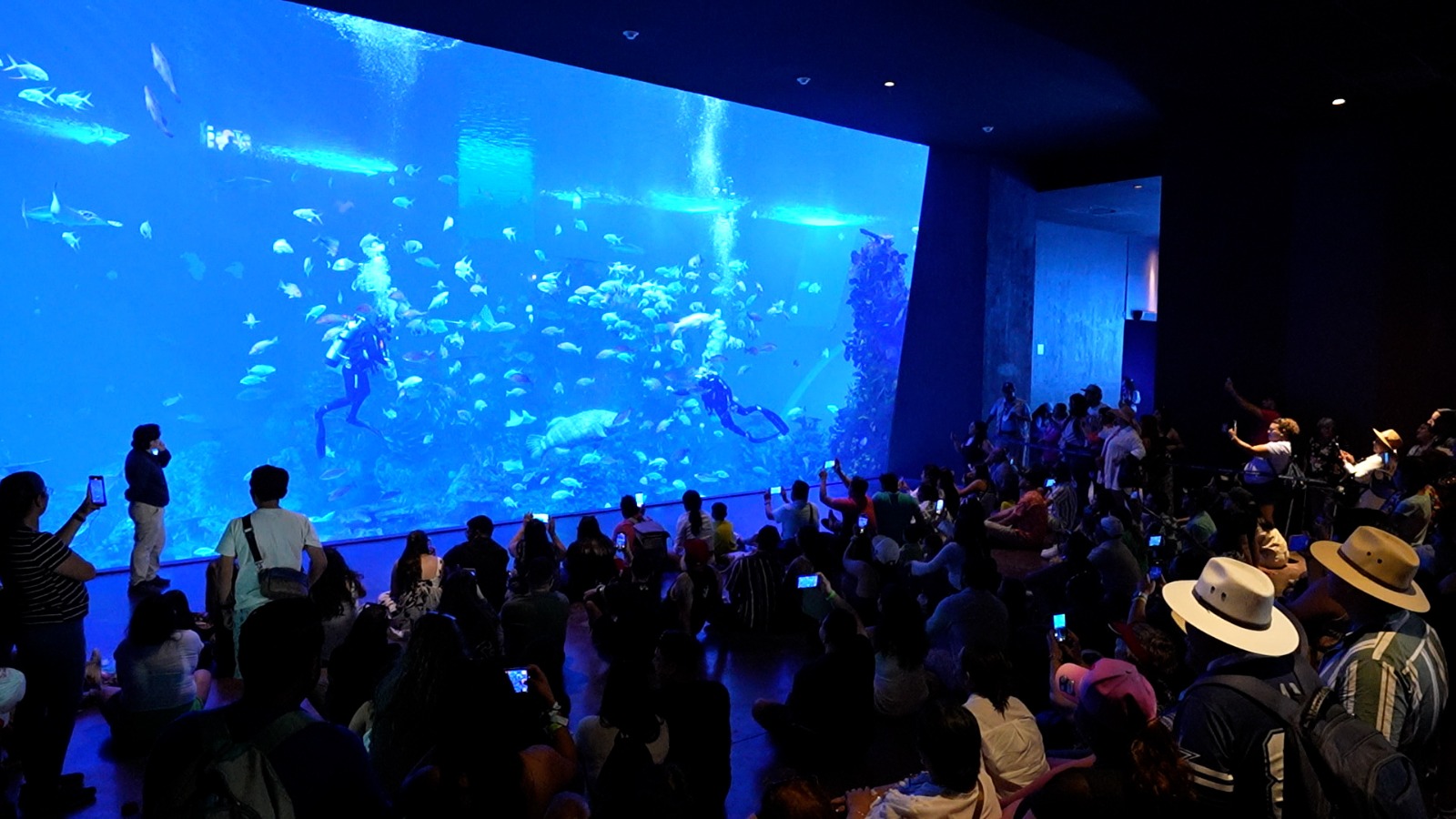 Acuario de Mazatlán