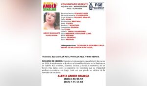 Airany Guadalupe Flores Anaya, desaparecida en Guasave, Sinaloa
