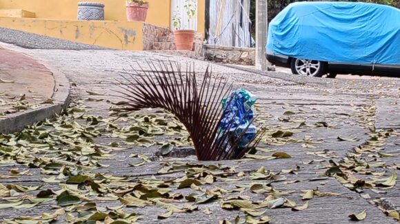 En riesgo vecinos por alcantarilla sin tapa en el Cerro del Vigía en Mazatlán, Sinaloa; denuncian meses de abandono