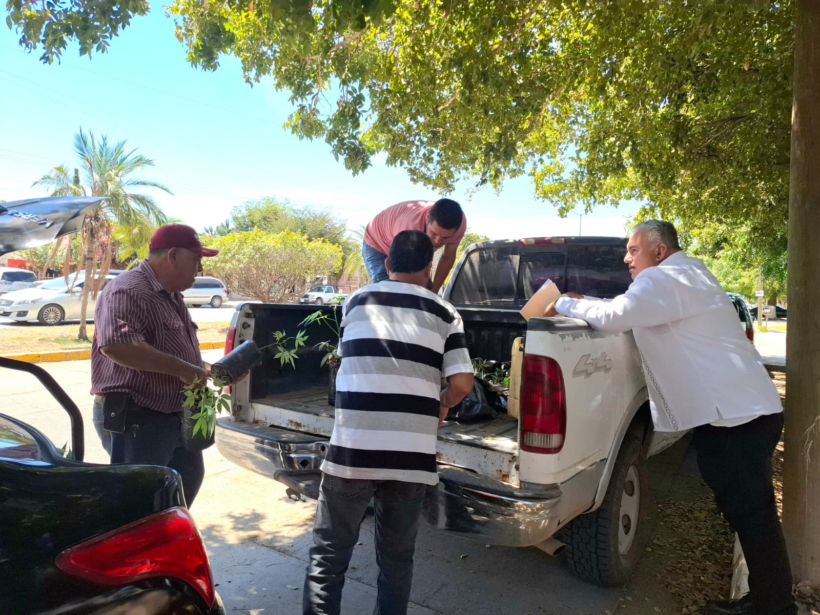 Regalarán ceibas a familias que limpien el río Sinaloa en Guasave