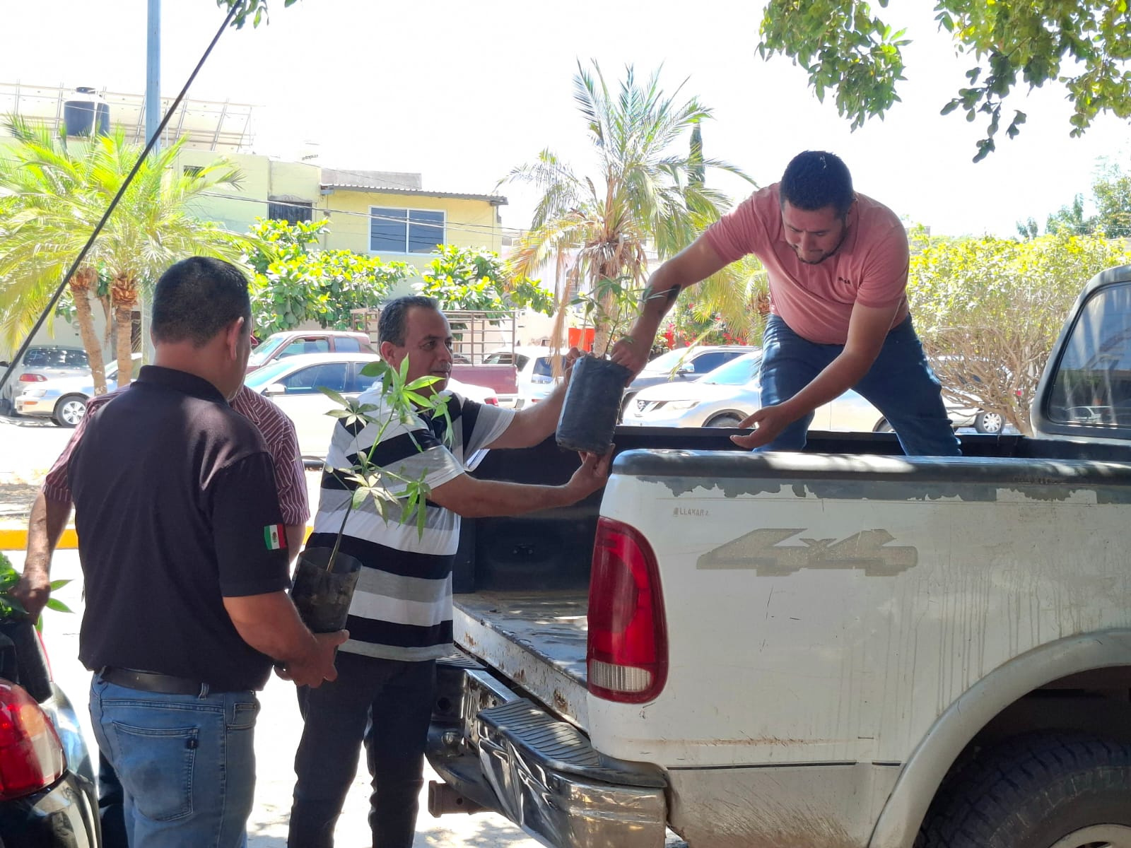 Regalarán ceibas a familias que limpien el río Sinaloa en Guasave