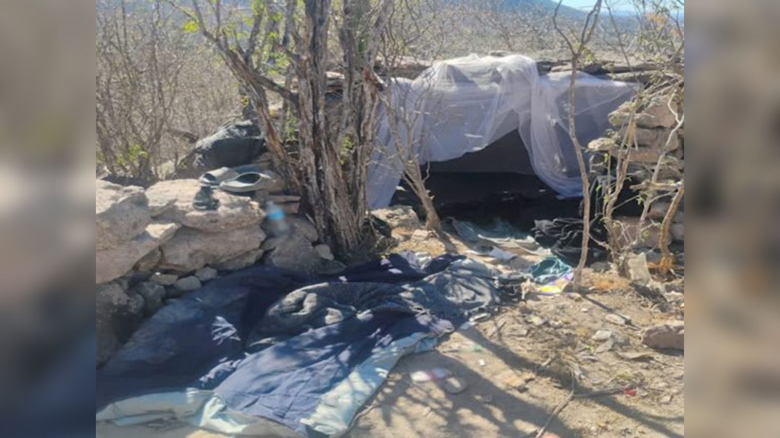 Ejército localiza campamento clandestino y decomisa arsenal en Elota, Sinaloa
