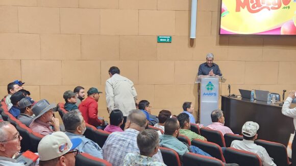 Mangueros del norte de Sinaloa realizan taller sobre producción y exportación de calidad