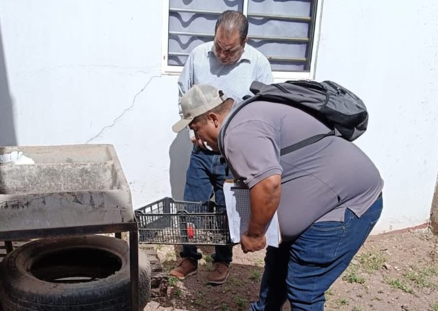 Brigada Salvador Alvarado