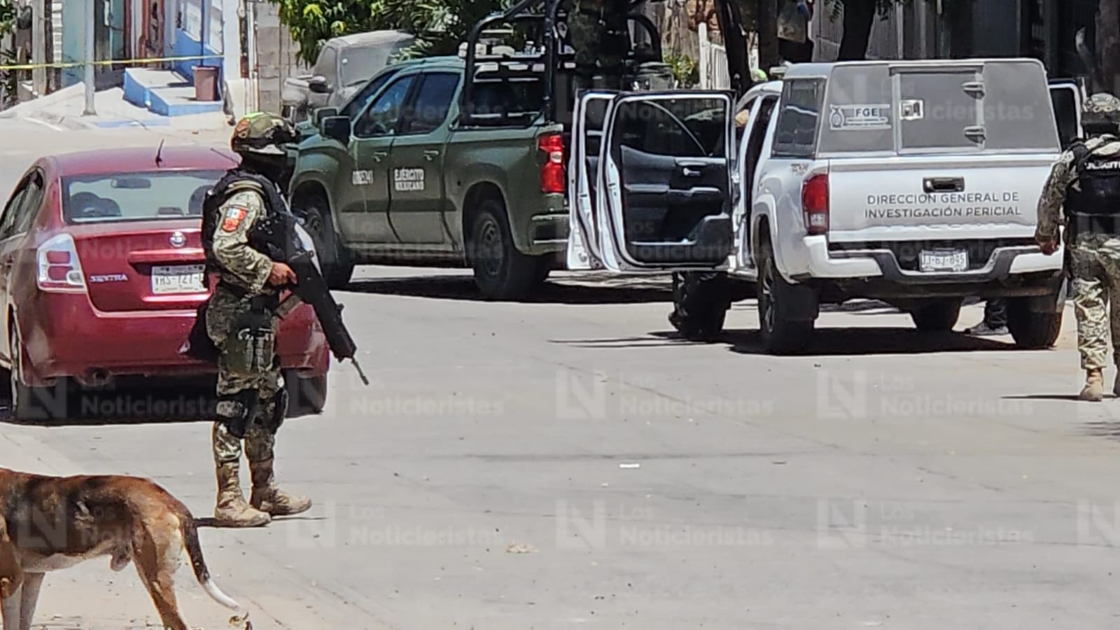 Arrojan cabeza de puercon con mensaje en Los Huzaches en Culiacán