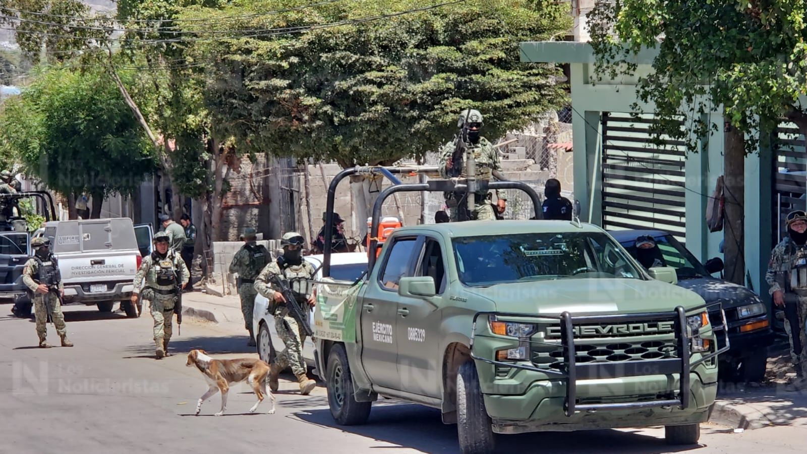 Arrojan cabeza de puercon con mensaje en Los Huzaches en Culiacán