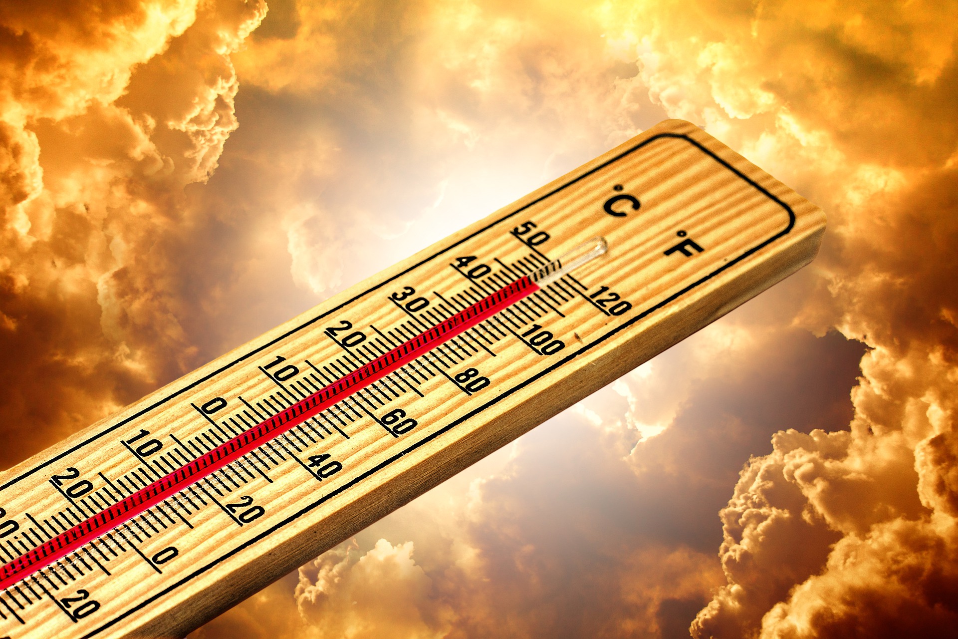 Calor