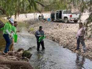 Campaña 'cero basura'