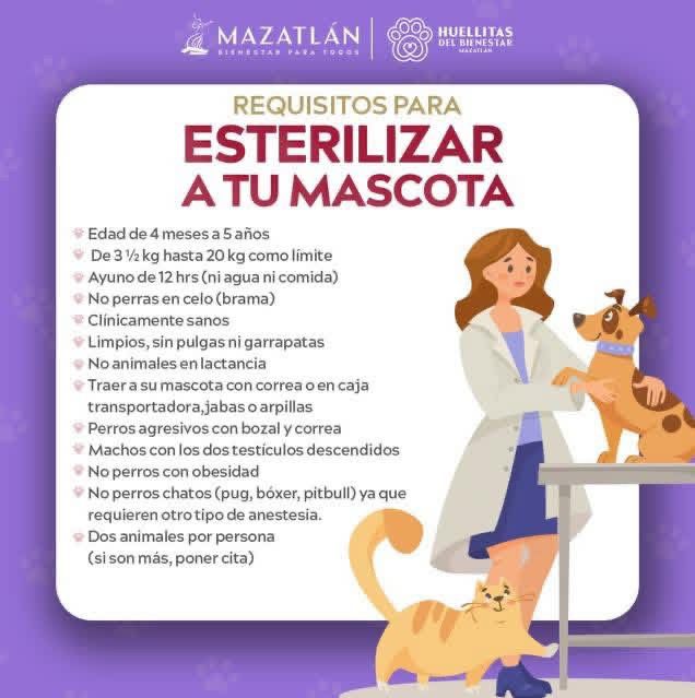 Campaña gratuita de esterilización