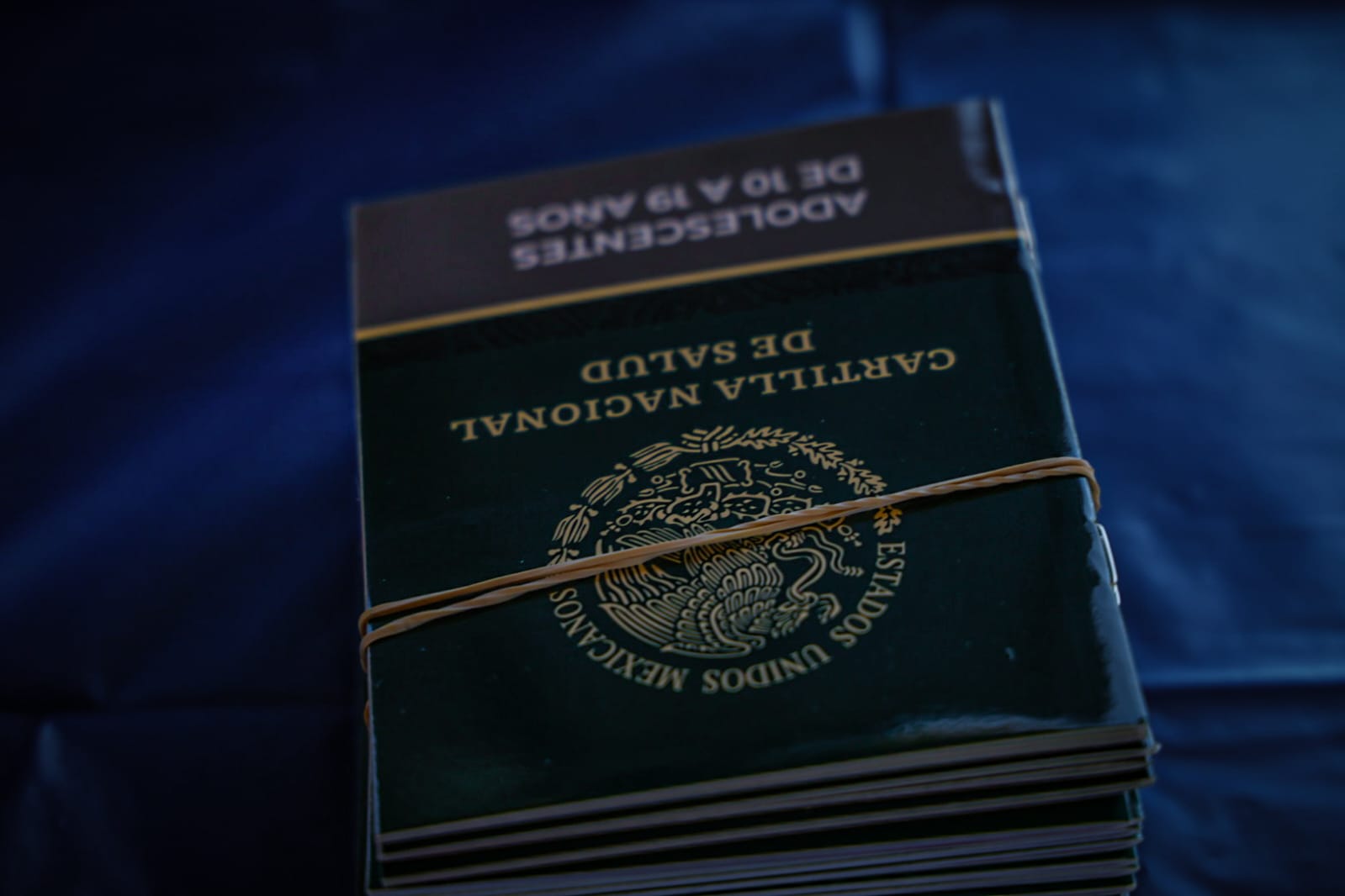 Cartilla de vacunación