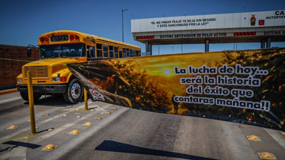 Confían productores de Guasave, Sinaloa, que no esté en riesgo apoyo al maíz tras licencia de Rocha Moya