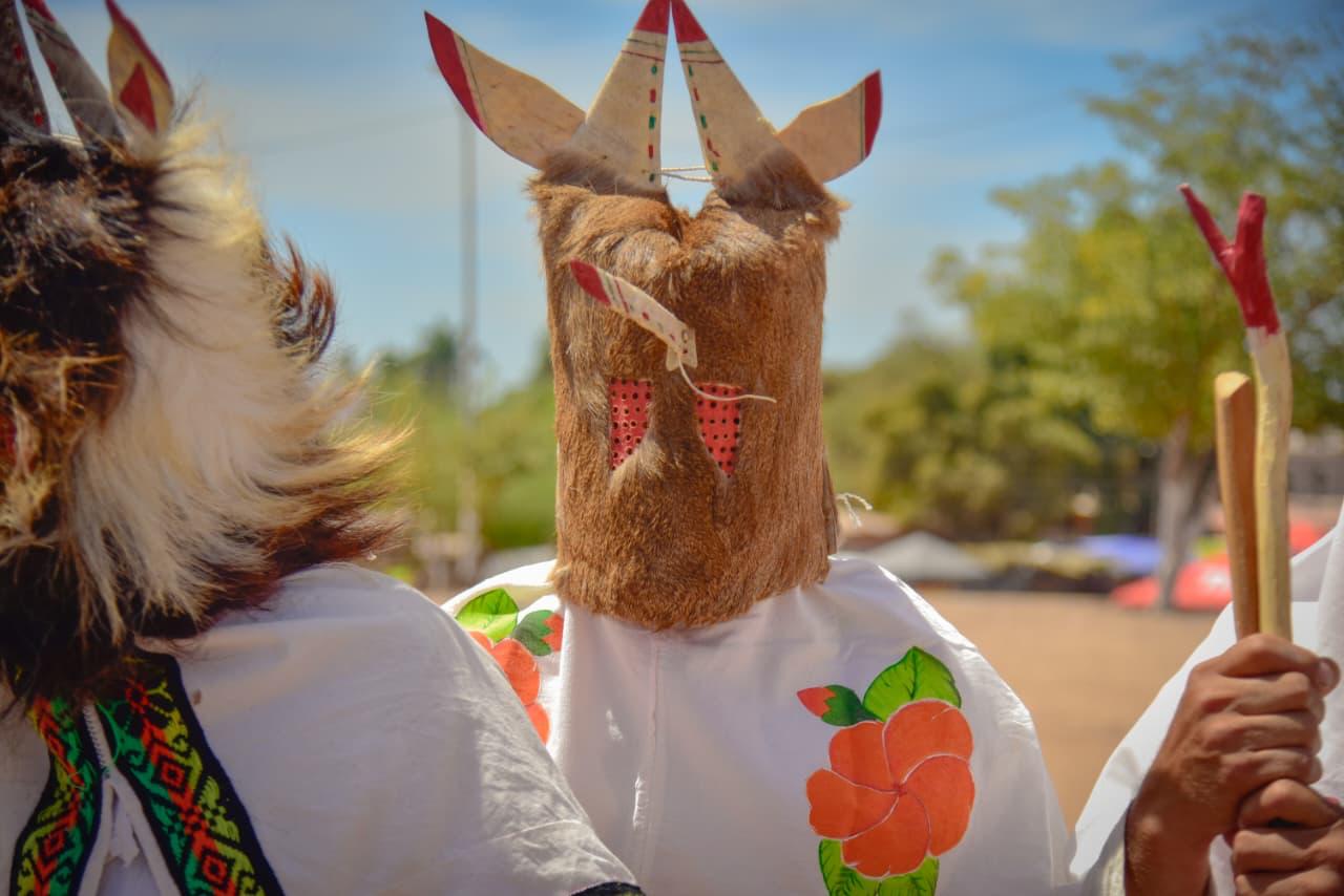 Celebraciones en el centro ceremonial de San Miguel Zapotitlán, en Ahome
