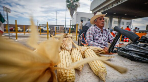 Campesinos Unidos de Sinaloa mantendrán su lucha; esperan indicaciones del FNRCM
