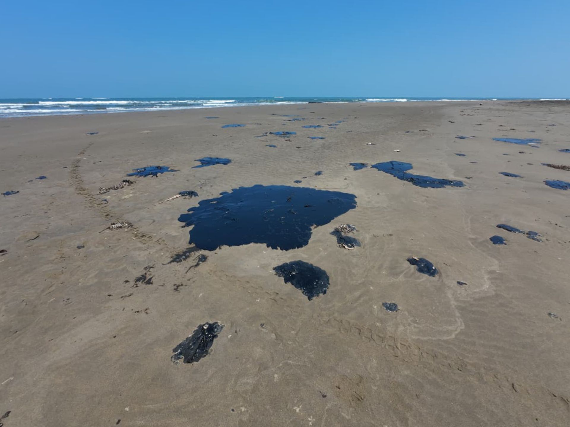 Separan a tres funcionarios de Pemex por derrame en el Golfo de México; investigan origen