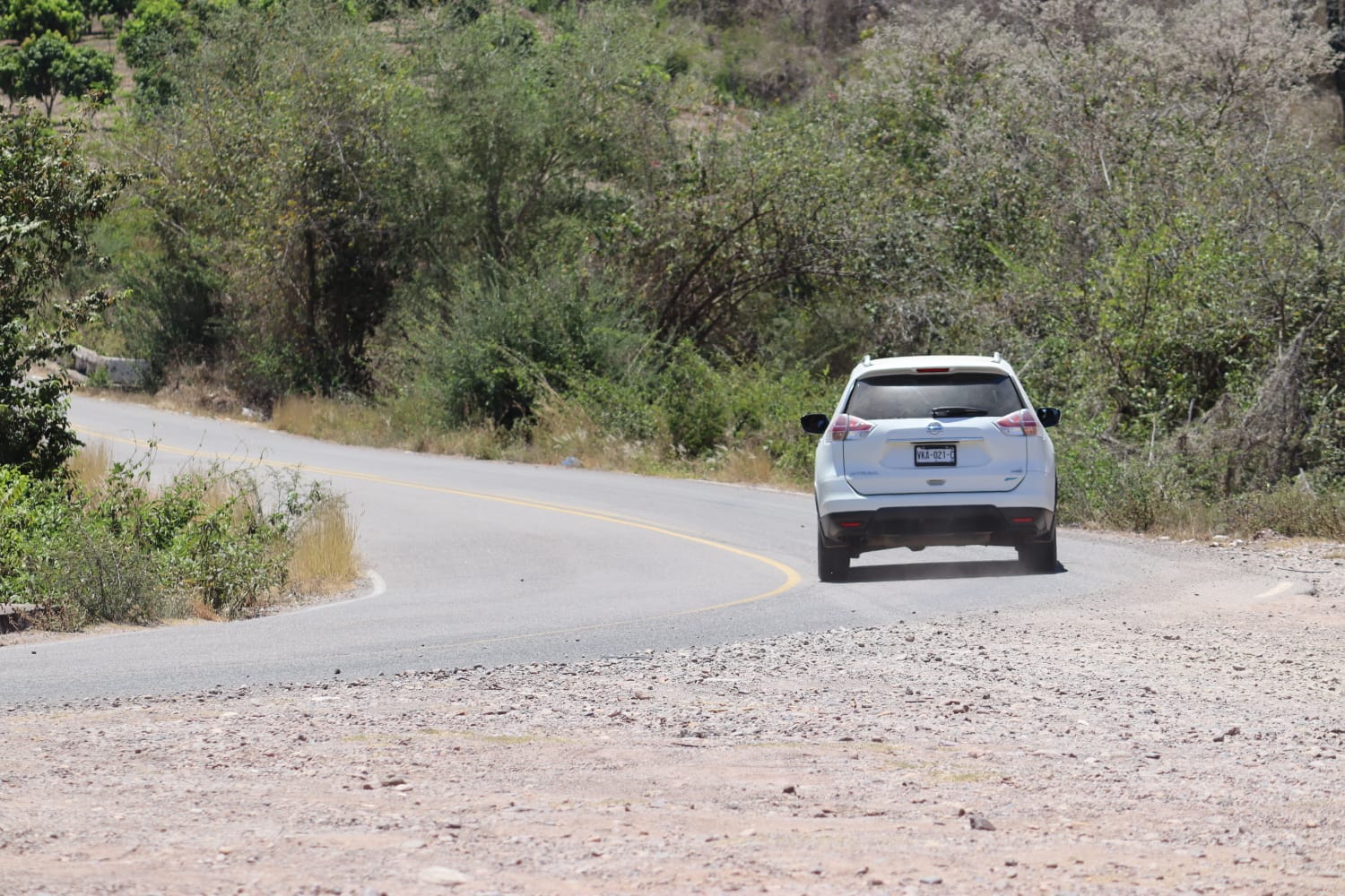 Violencia en Rosario, Sinaloa