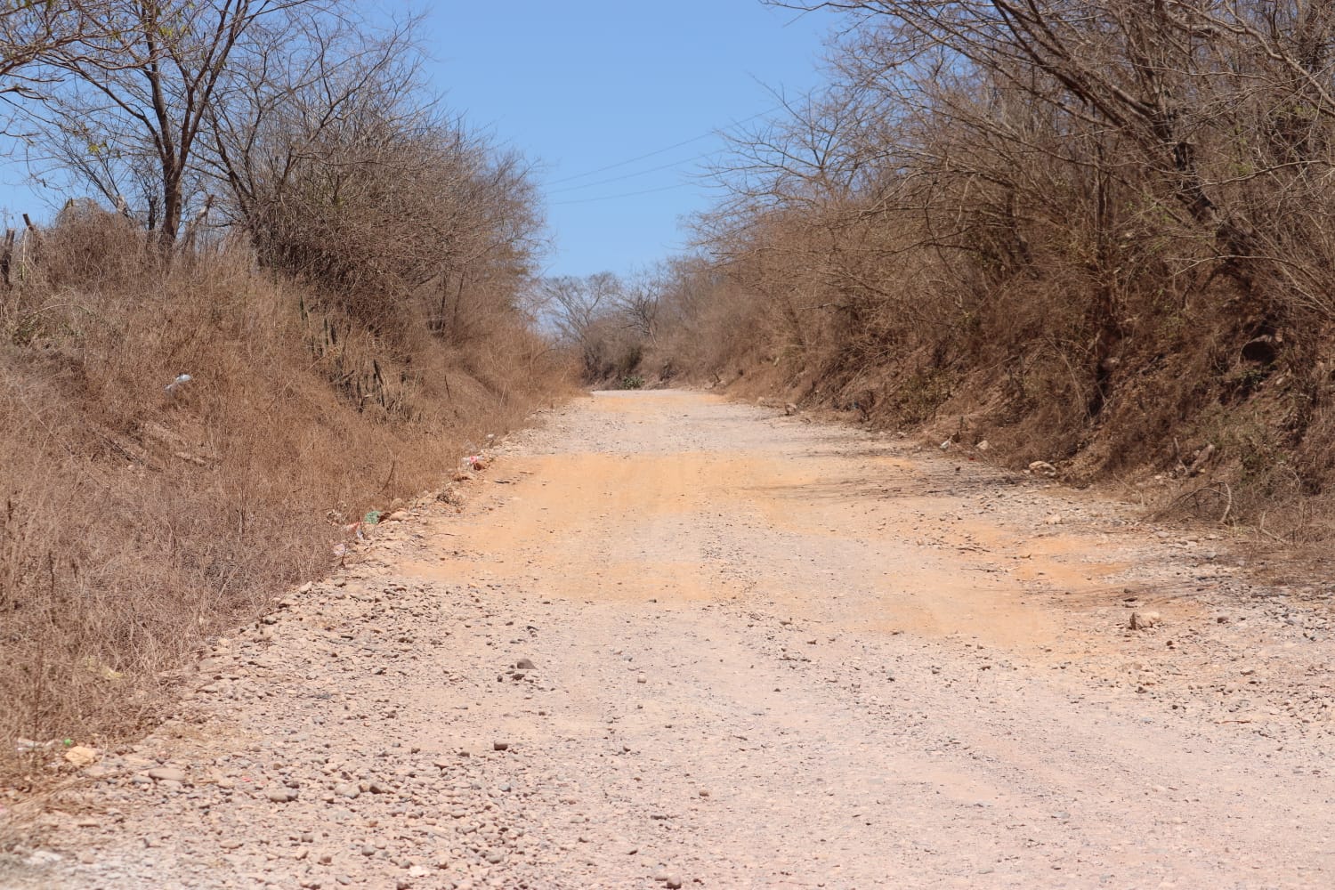 Violencia en Rosario, Sinaloa