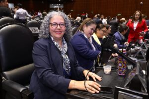 Diputada Graciela Domínguez