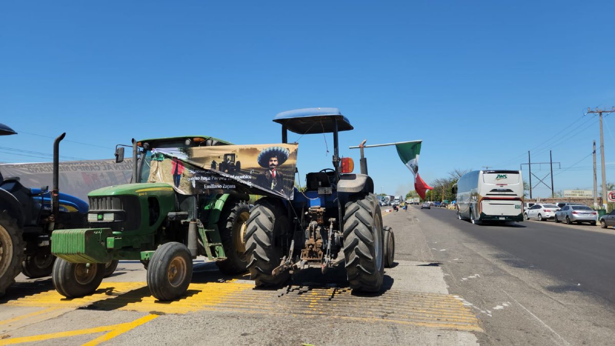 Llegará tardía Columba López a Sinaloa, pero habrá que ver cómo resuelve el tema de los trigueros: Baltazar Valdez