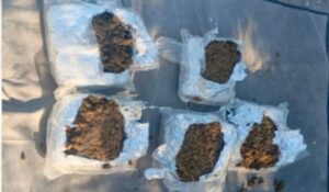 Droga asegurada en Elota, Sinaloa