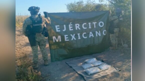 Aseguran 6 kilos de marihuana en el municipio de Elota, Sinaloa