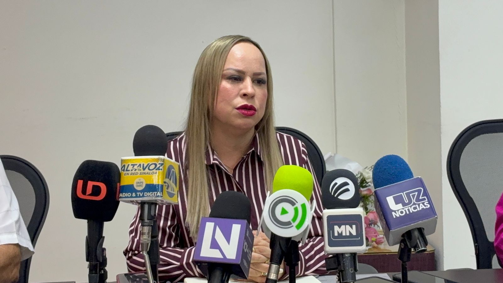 Dulce María Ruiz Castro