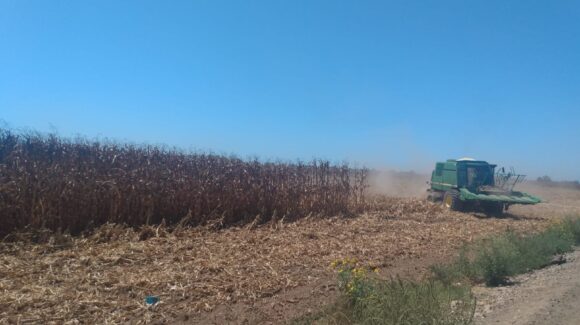 Gestionan créditos de hasta 500 mil pesos para productores; serían a través de FIRA y sin garantías para pequeños agricultores